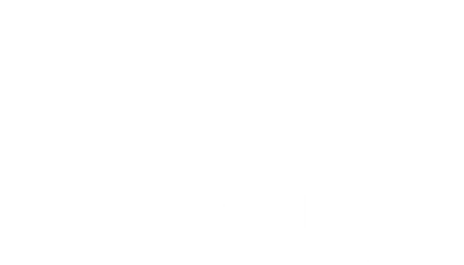 Accutant Solutions